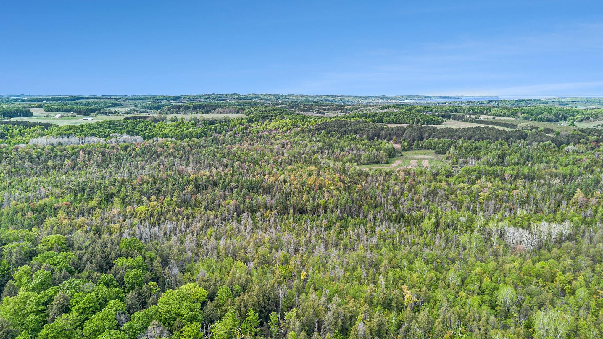 90-acres East Otto Road Suttons Bay, MI 49682 - Photo 55 of 68 Gallery Image 55