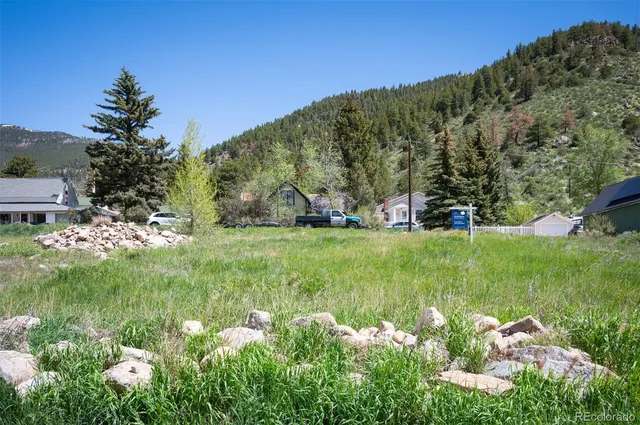 a view of a garden with plants