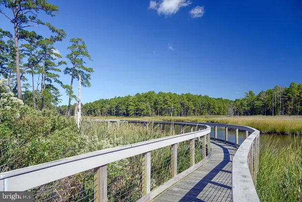 a view of a swimming pool with lounge chairs