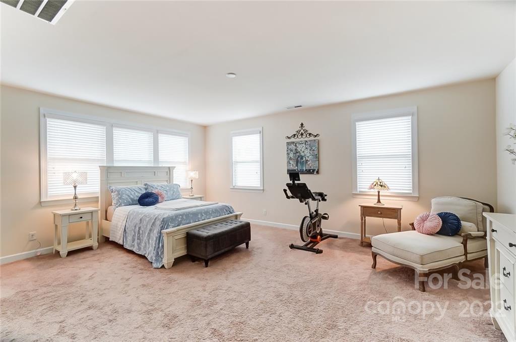 917 Landmark Run Lane Tega Cay, SC 29708 - Photo 37 of 48 Gallery Image 37