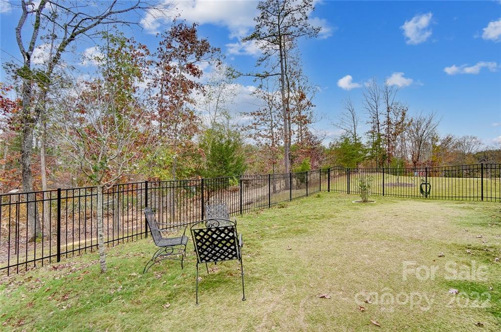 917 Landmark Run Lane Tega Cay, SC 29708 - Photo 44 of 48 Gallery Image 44