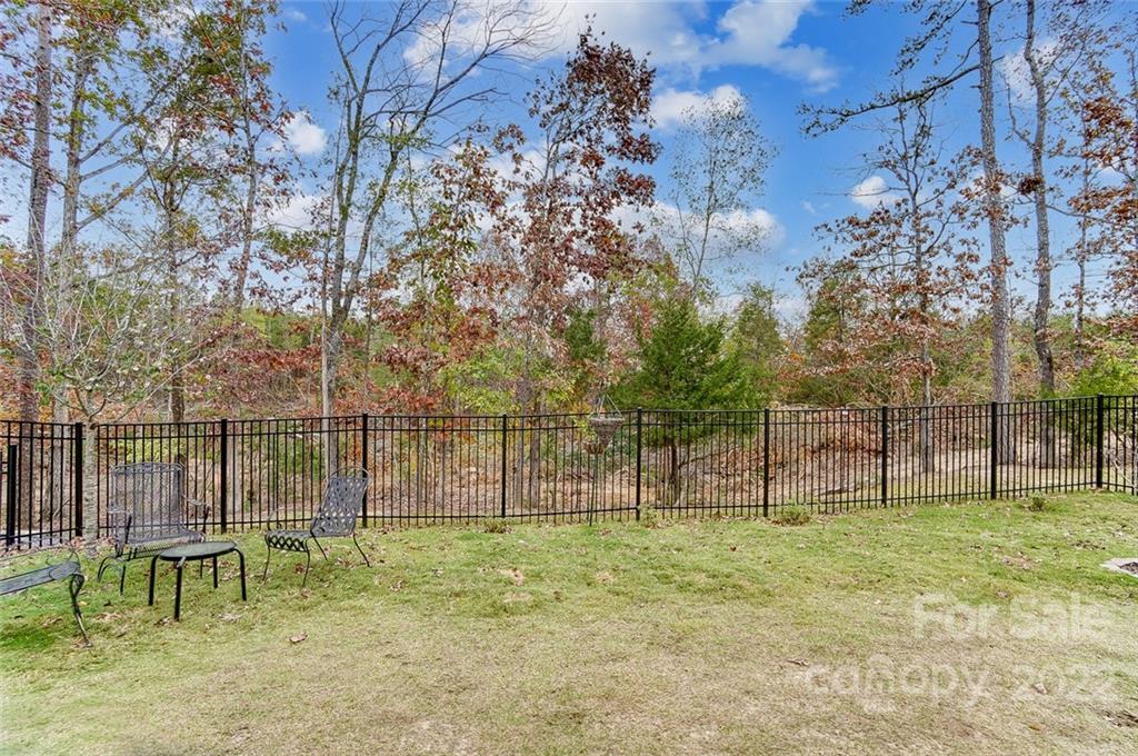 917 Landmark Run Lane Tega Cay, SC 29708 - Photo 45 of 48 Gallery Image 45