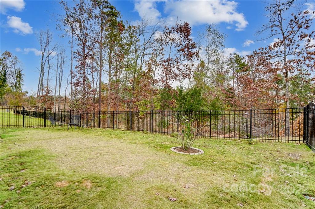 917 Landmark Run Lane Tega Cay, SC 29708 - Photo 46 of 48 Gallery Image 46