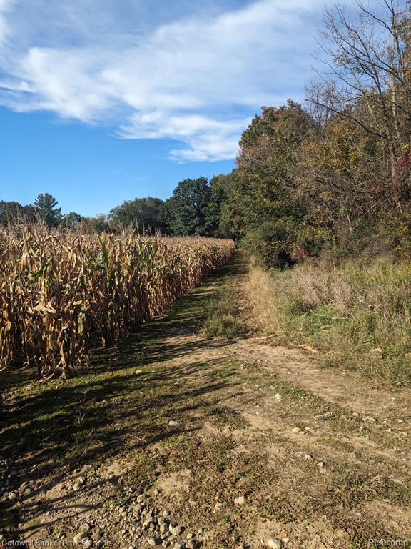 7168 Willis Road Brown City, MI 48416 - Photo 19 of 24