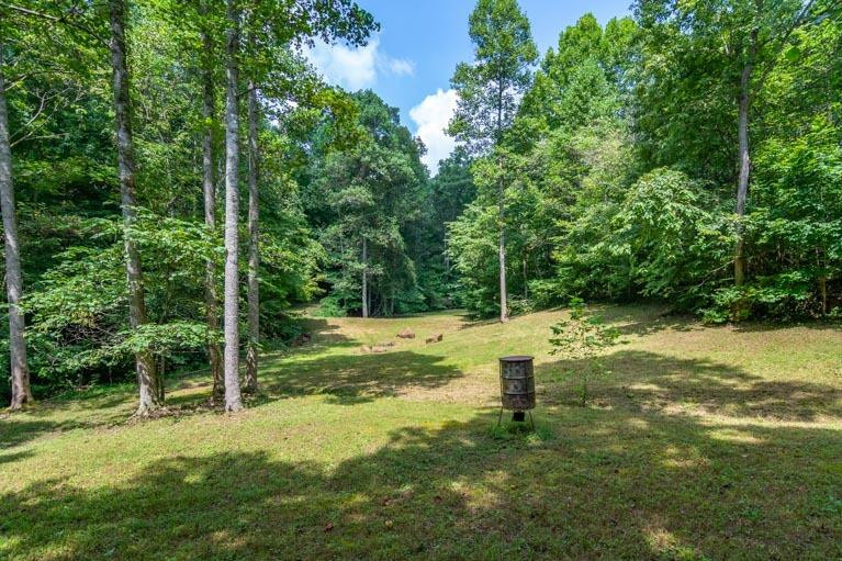 2194 Pine Ridge Road Winchester, KY 40391 - Photo 36 of 47 Photo 36