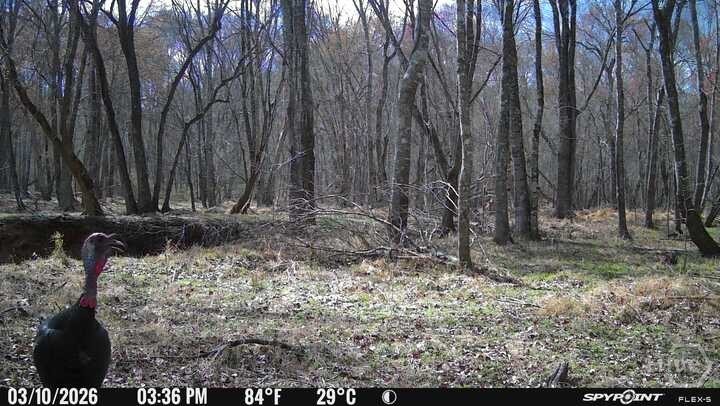1032 Washington Road Lexington, GA 30648 - Photo 19 of 70 Gallery Image 19