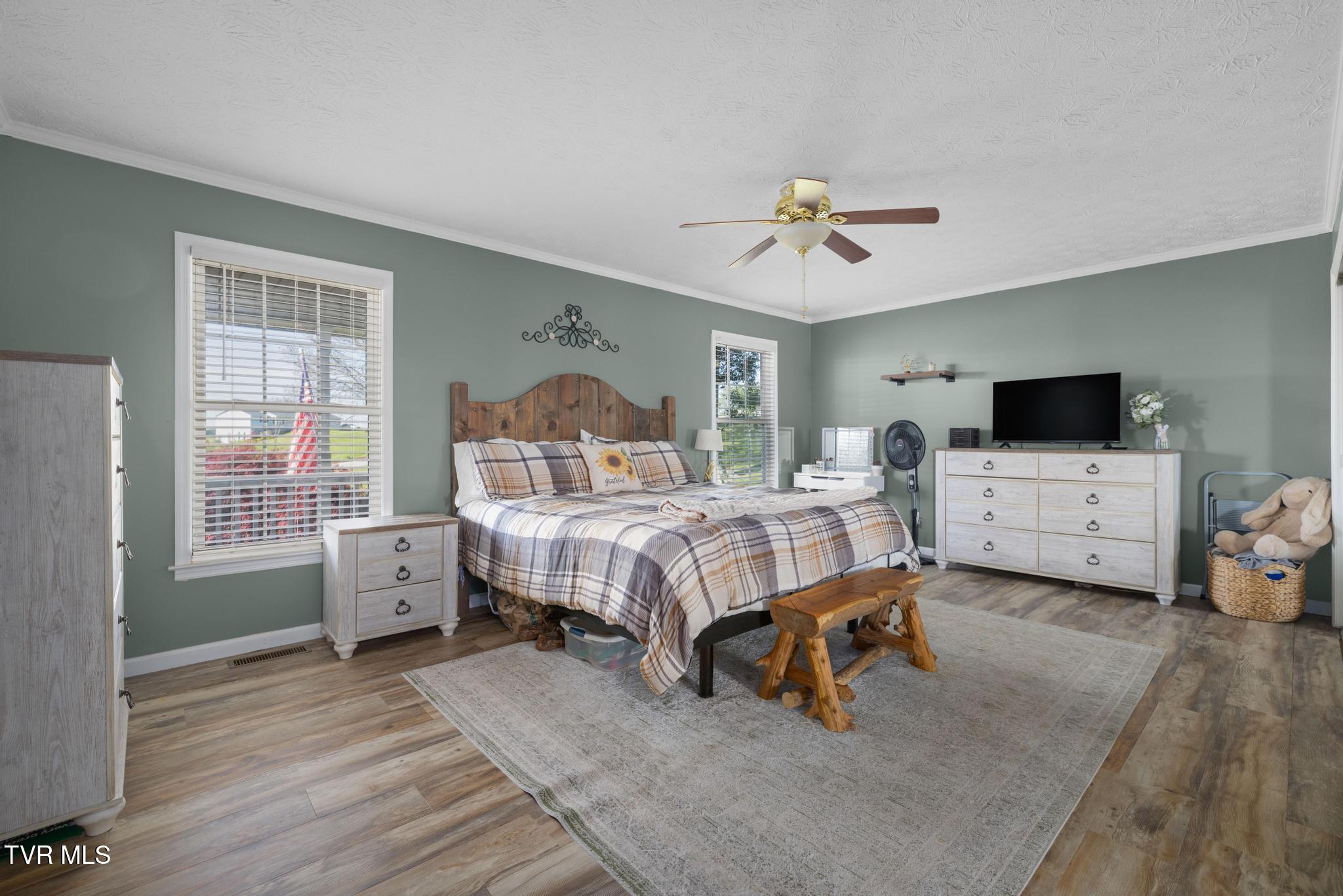 160 Deerchase Lane Chuckey, TN 37641 - Photo 22 of 61 Primary bedroom