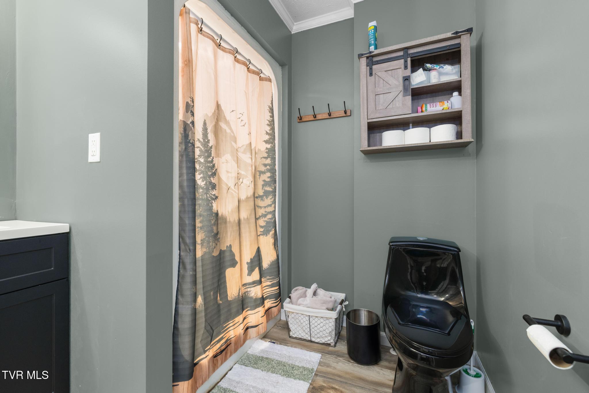 160 Deerchase Lane Chuckey, TN 37641 - Photo 25 of 61 Primary bathroom