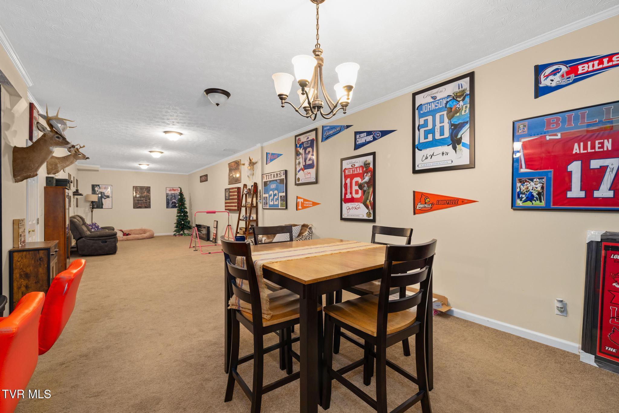 160 Deerchase Lane Chuckey, TN 37641 - Photo 28 of 61 Finished basement