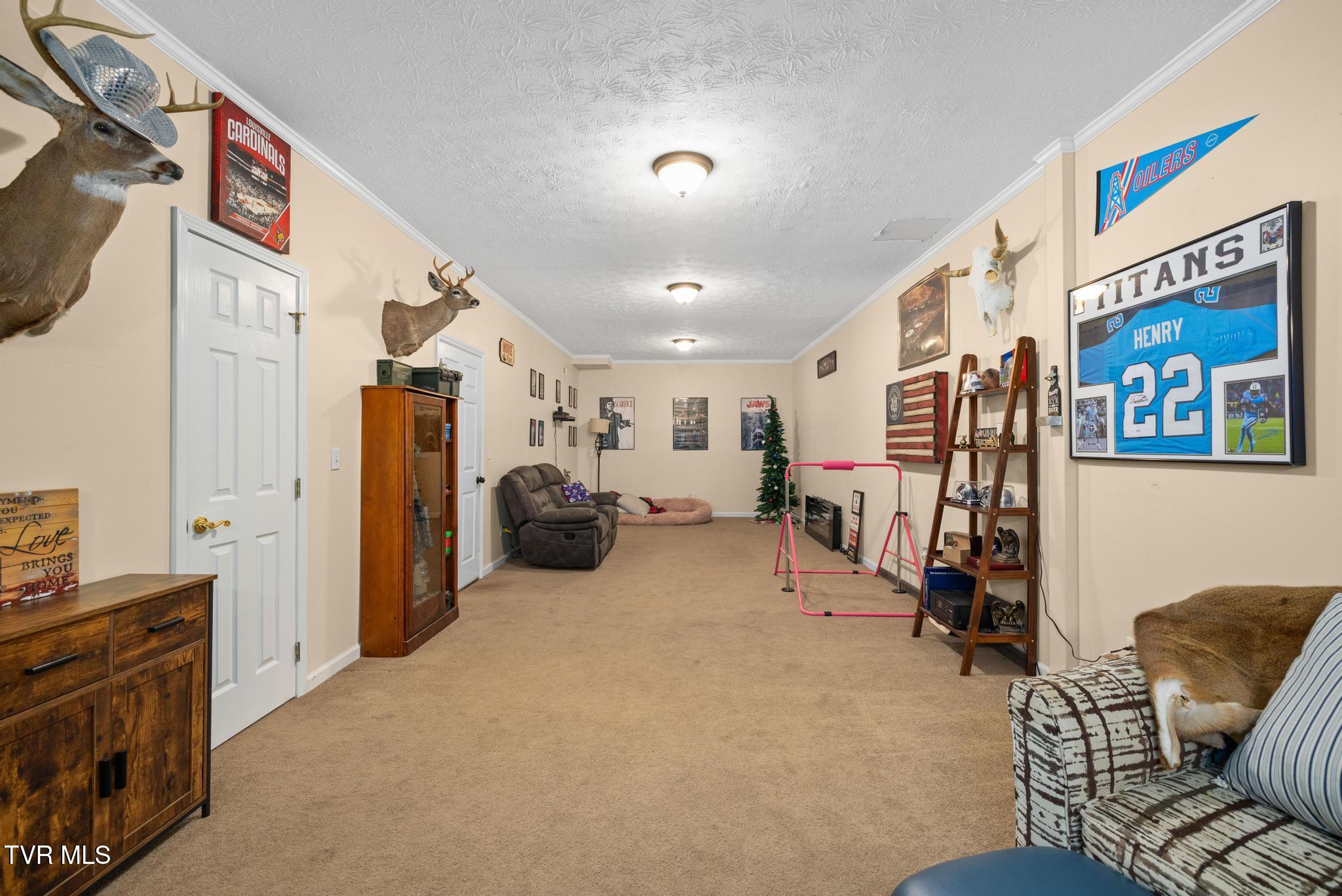 160 Deerchase Lane Chuckey, TN 37641 - Photo 31 of 61 Finished basement