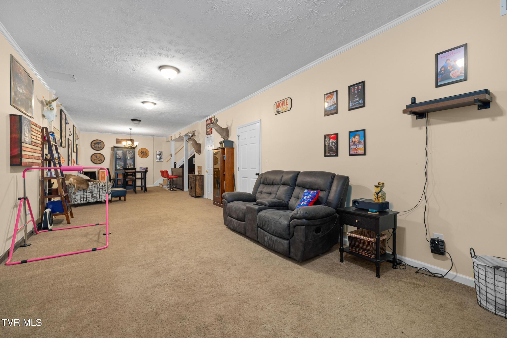 160 Deerchase Lane Chuckey, TN 37641 - Photo 32 of 61 Finished basement