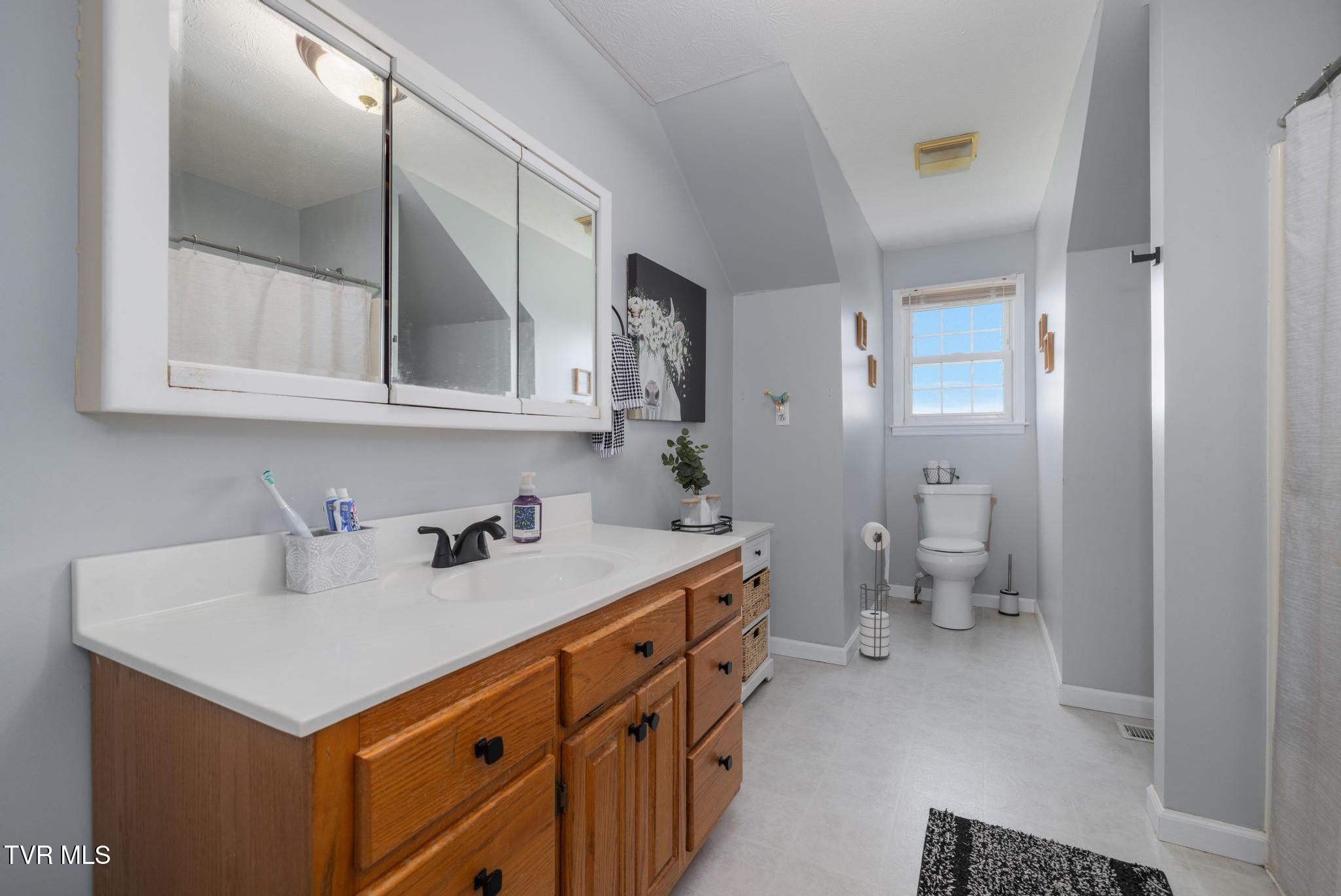 160 Deerchase Lane Chuckey, TN 37641 - Photo 36 of 61 Full bathroom 2