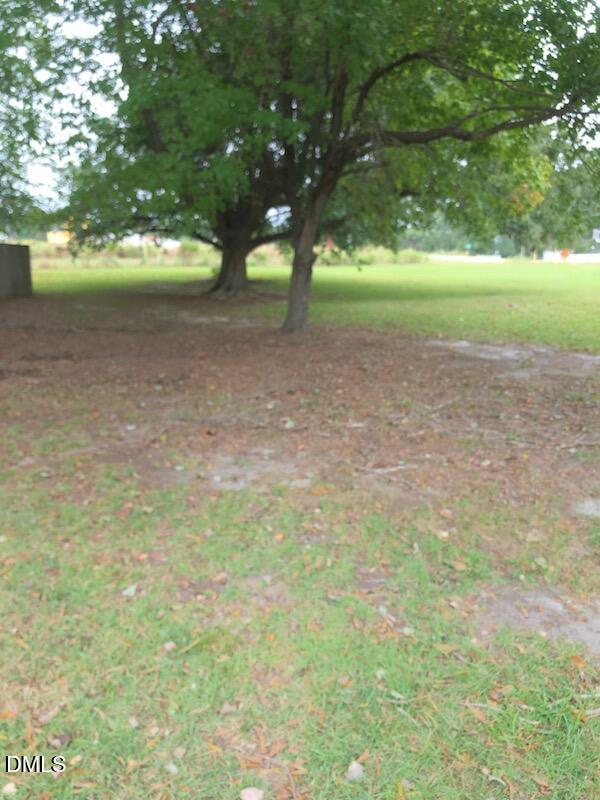 528 Mailman Road Knightdale, NC 27545 - Photo 7 of 7 IMG_6375