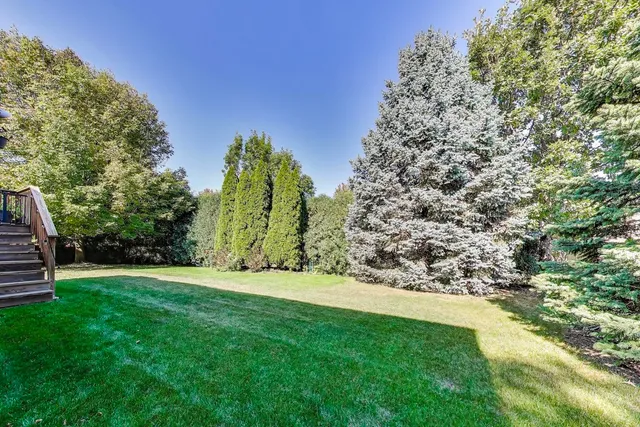 a view of a yard with a tree
