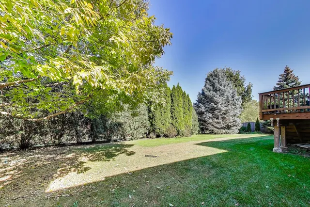 a view of a yard with large trees