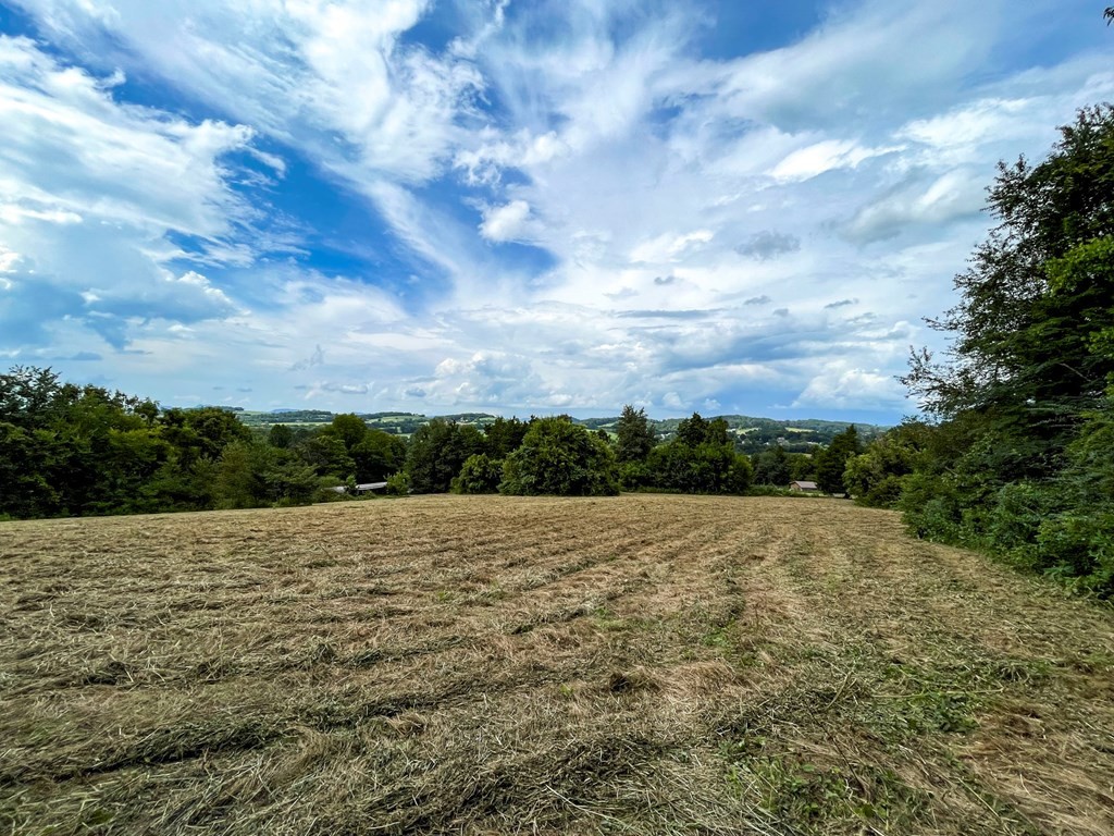 844846 Bales Road New Market, TN 37820 - Photo 4 of 36 Gallery Image 4