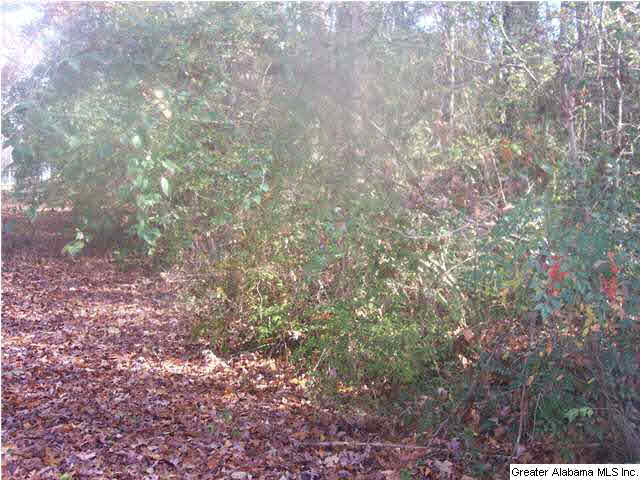 Bear Creek Circle Oneonta, AL 35121 - Photo 1 of 4