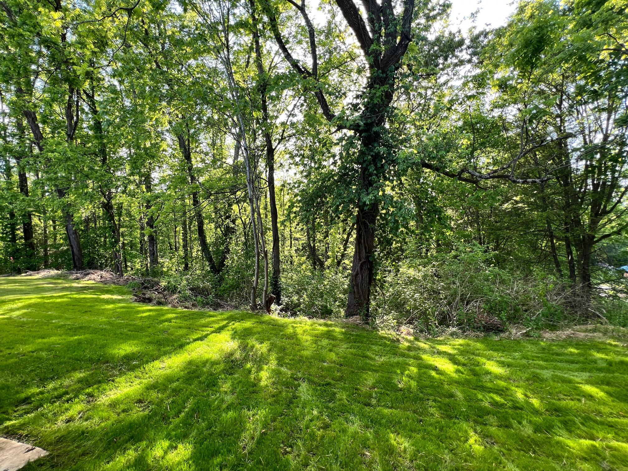 174 Hamilton Road Elizabethton, TN 37643 - Photo 27 of 31 Privacy.Backyard
