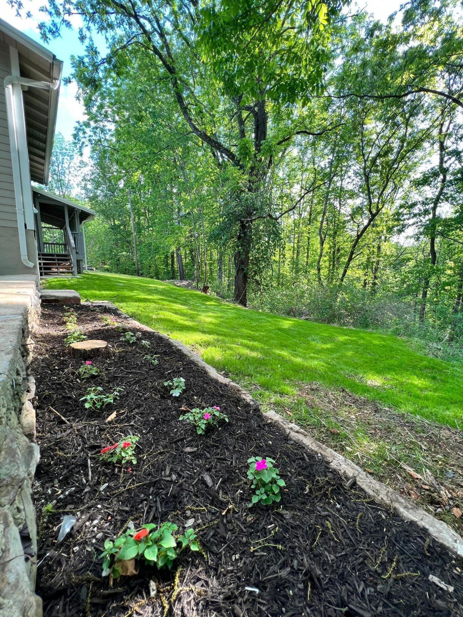 174 Hamilton Road Elizabethton, TN 37643 - Photo 28 of 31 Landscaping