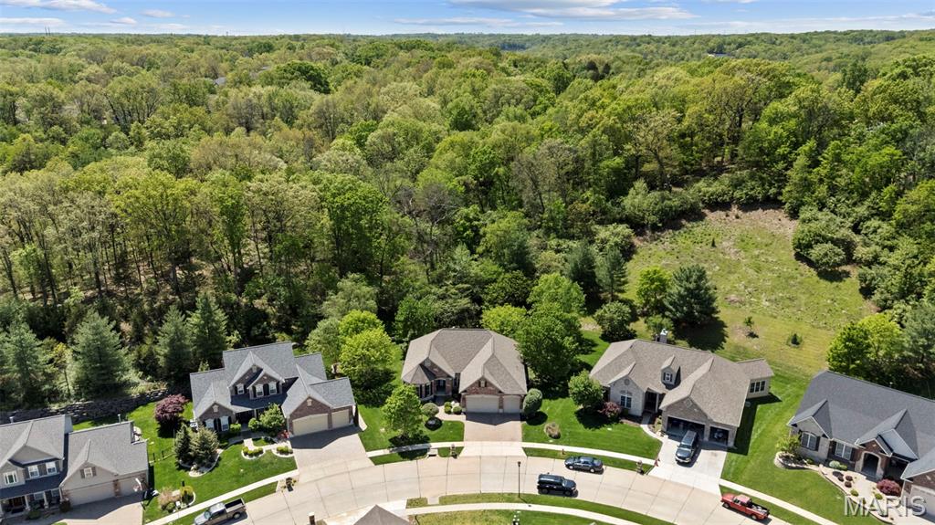 1070 Bridleridge Crossing Spur High Ridge, MO 63049 - Photo 34 of 37