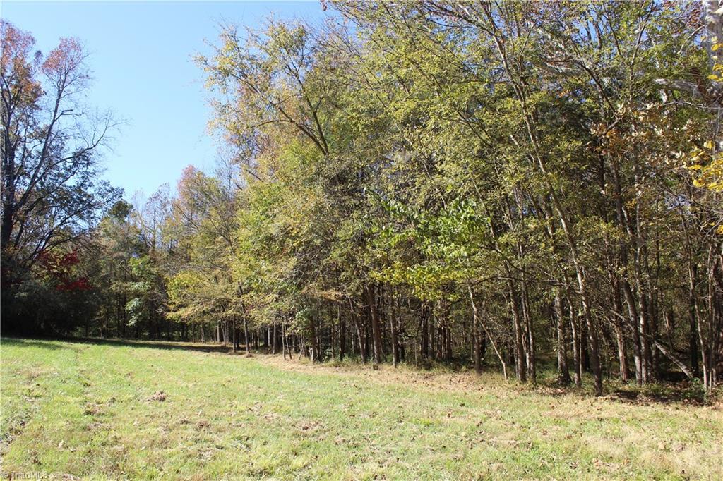3441 Timber Ridge Lake Road Liberty, NC 27298 - Photo 15 of 20 Gallery Image 15