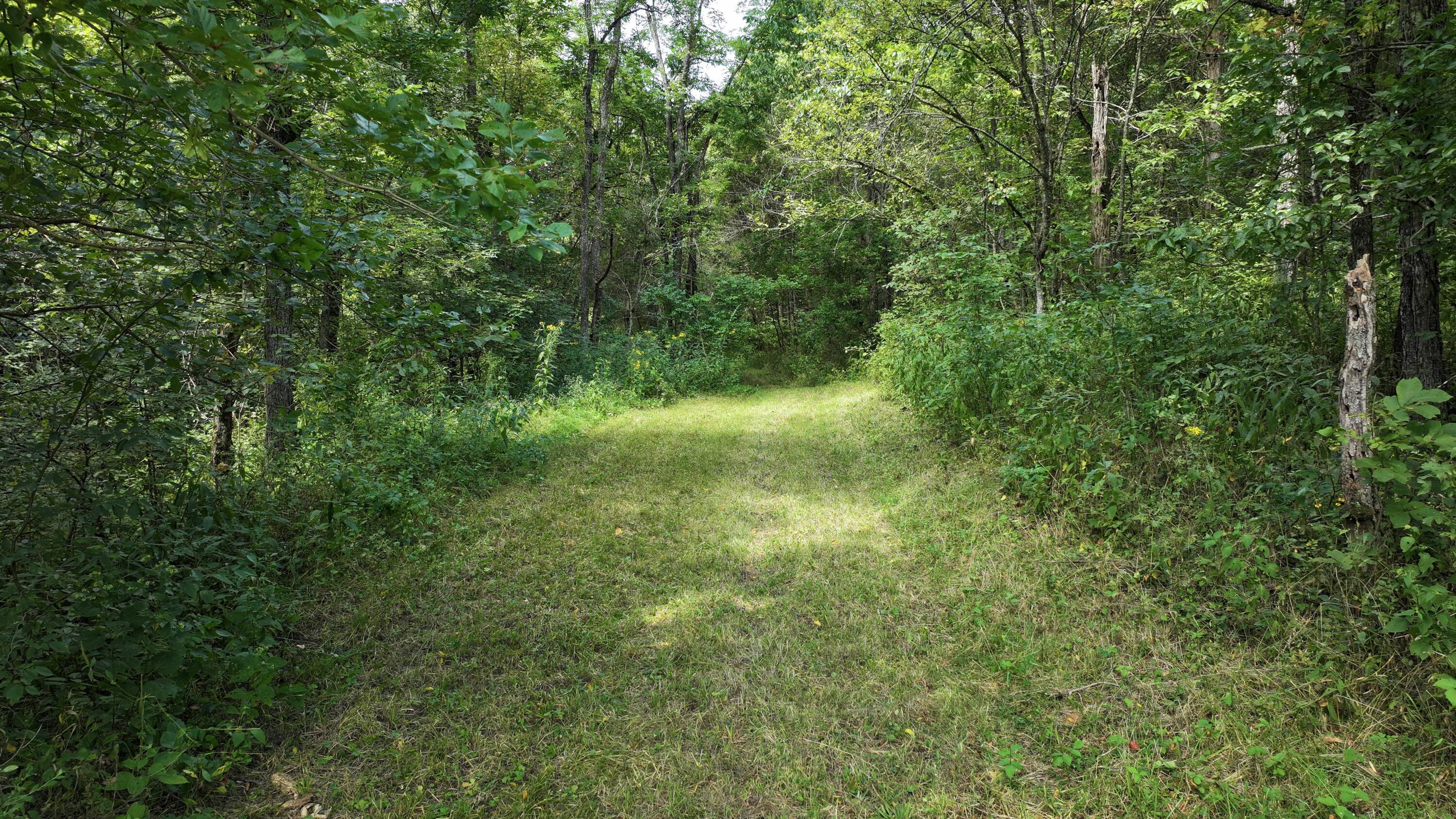 0 Caney Creek Road Owenton, KY 40359 - Photo 28 of 35