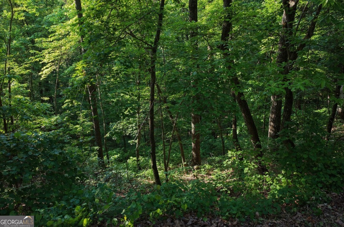 115 Carters Overlook Drive Ranger, GA 30734 - Photo 3 of 12