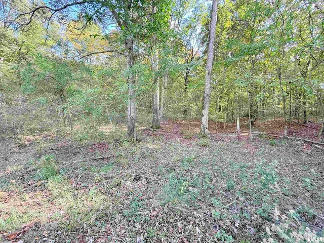 $229,000 | 8375 Highway 145, Harrisburg, IL 62946