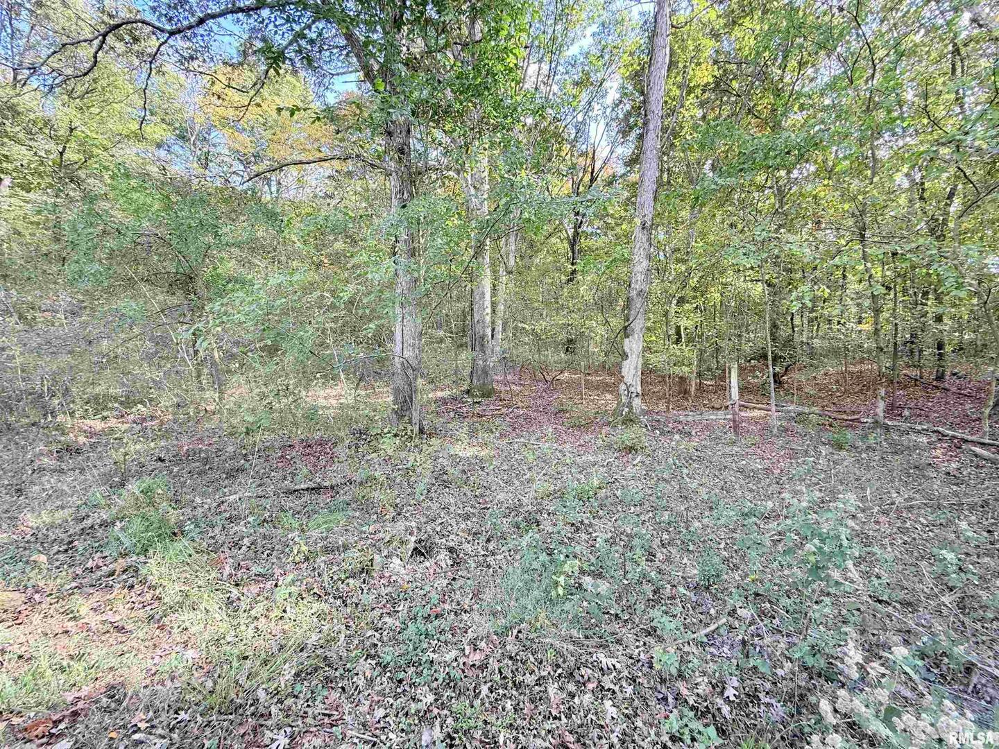 8375 Highway 145 Harrisburg, IL 62946 - Photo 16 of 43