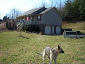 344 Bulldog Miller Road Jonesborough, TN 37659 - Photo 1 of 2 Photo 1