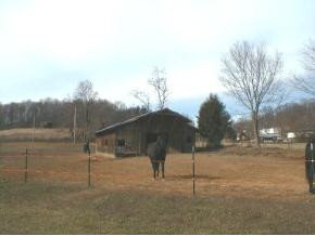 344 Bulldog Miller Road Jonesborough, TN 37659 - Photo 2 of 2 Photo 2
