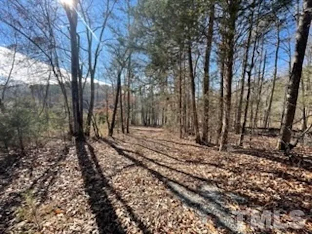 a view of a yard with a tree