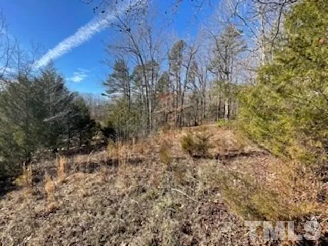 a view of a trees with a yard