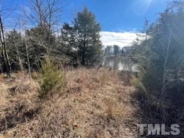 a view of a forest with trees