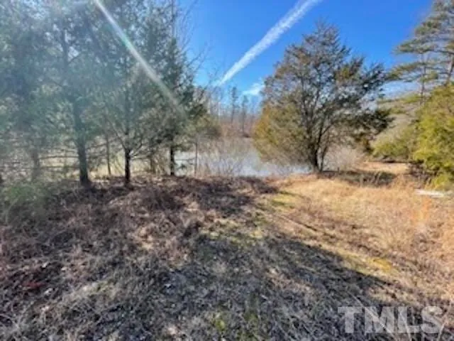 a view of backyard of house