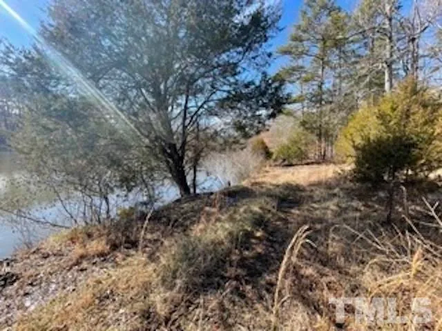 a view of a yard with a tree