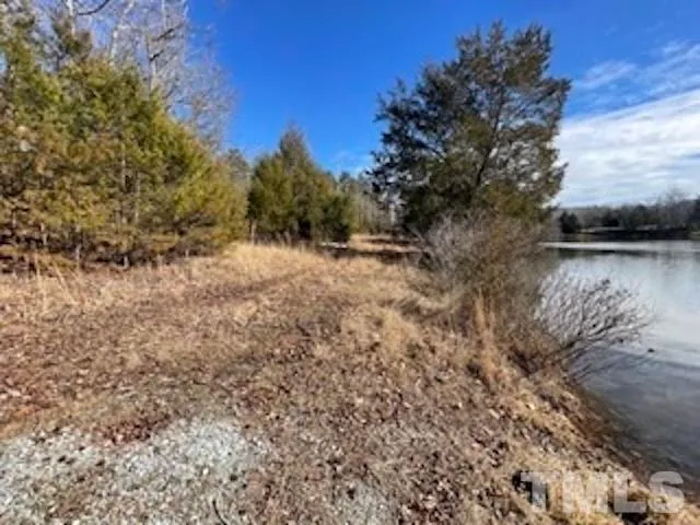 a view of backyard with green space