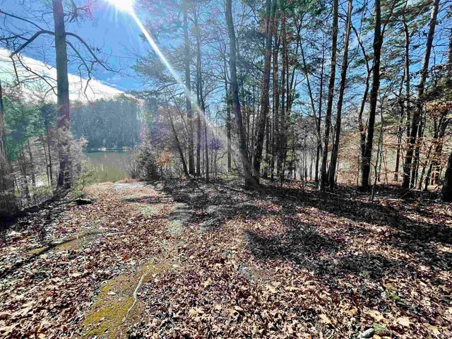 a view of a dry yard