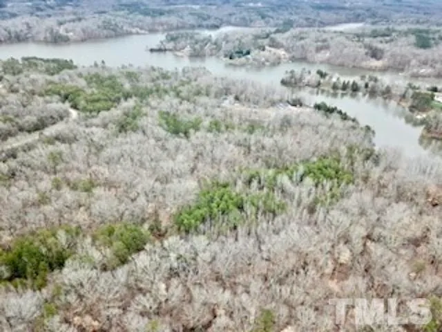 a view of a dry yard with green space
