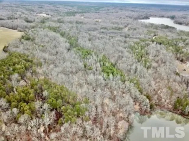 a view of a lake with a mountain in the background
