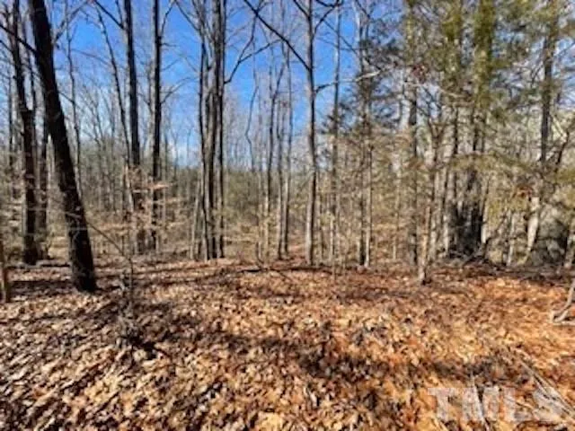 a view of a yard with trees
