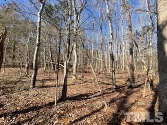 a view of a yard with lots of trees