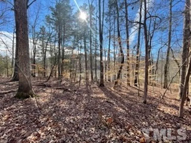 a view of outdoor space with deck and trees