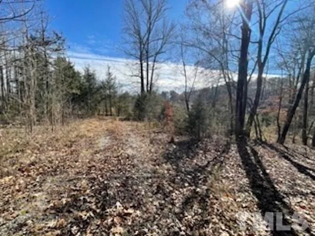 a view of a yard with trees