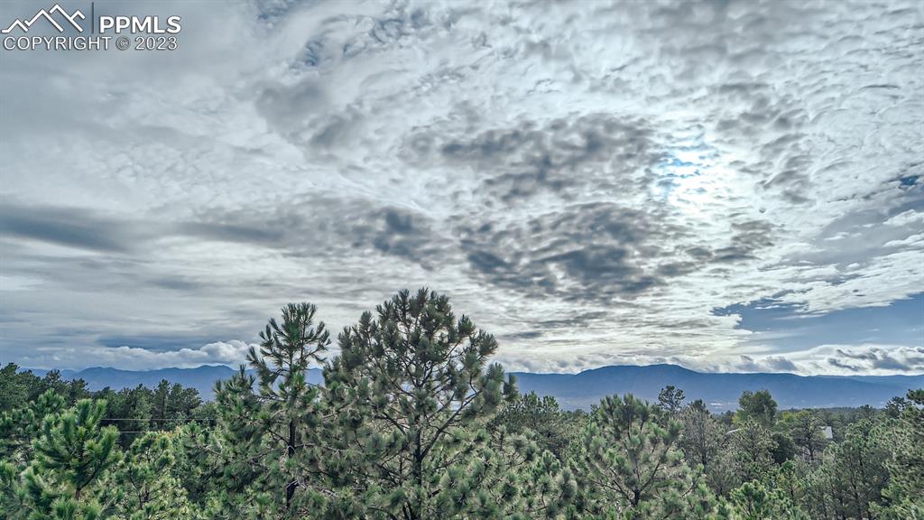65 Pontiac Loop Monument, CO 80132 - Photo 5 of 49