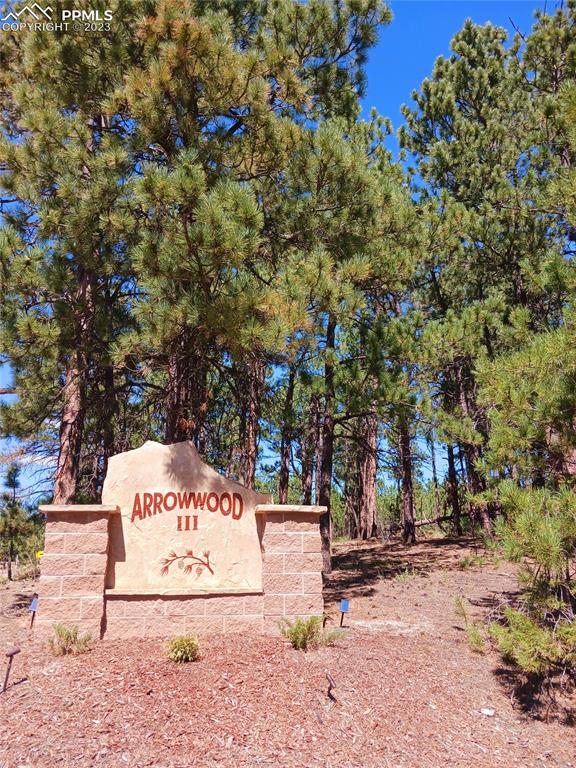 65 Pontiac Loop Monument, CO 80132 - Photo 6 of 49 a view of park with tree