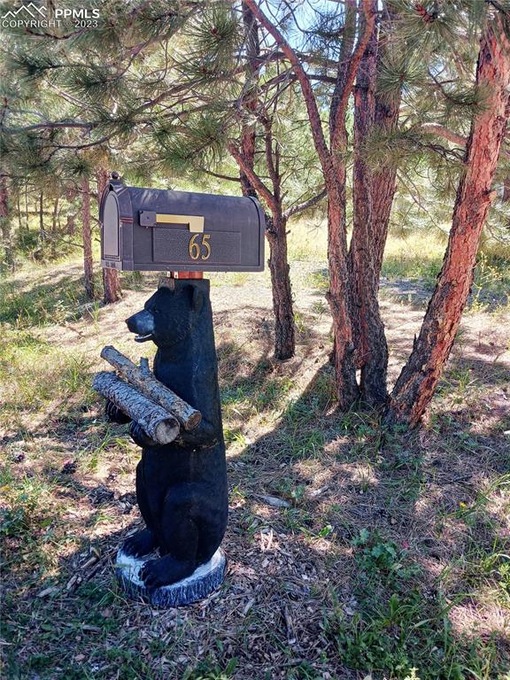 65 Pontiac Loop Monument, CO 80132 - Photo 7 of 49 a view of a trees in a yard