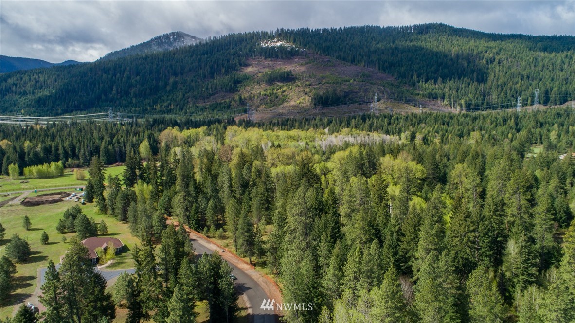 10 Old Cedars Road Cle Elum, WA 98922 - Photo 3 of 9 a view of a lush green hillside and a houses