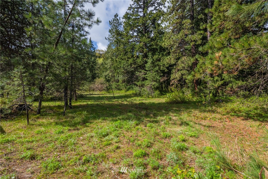 10 Old Cedars Road Cle Elum, WA 98922 - Photo 4 of 9 a view of outdoor space with deck and yard