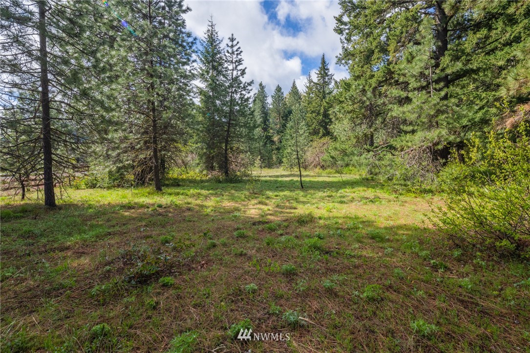 10 Old Cedars Road Cle Elum, WA 98922 - Photo 5 of 9 a view of outdoor space with trees all around